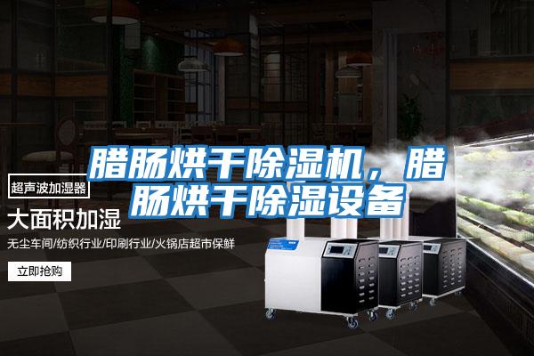臘腸烘干除濕機(jī),臘腸烘干除濕設(shè)備