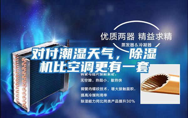 對付潮濕天氣，除濕機比空調(diào)更有一套