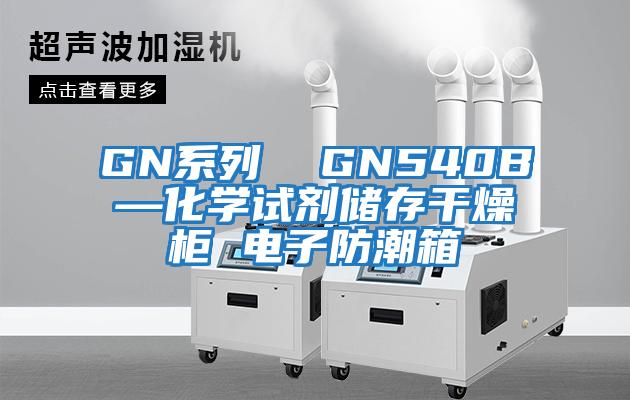 GN系列 GN540B—化學(xué)試劑儲(chǔ)存干燥柜 電子防潮箱
