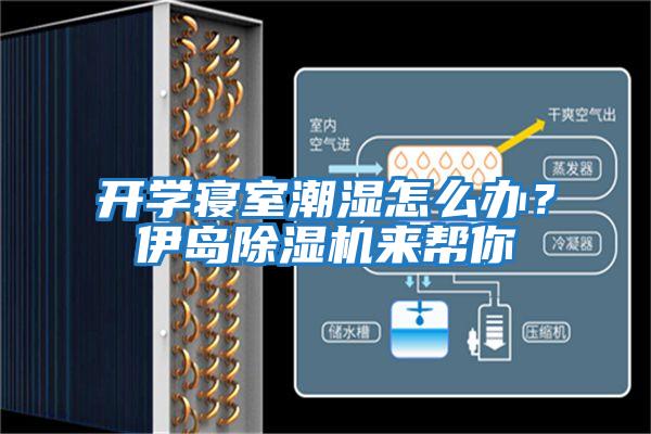 開(kāi)學(xué)寢室潮濕怎么辦？伊島除濕機(jī)來(lái)幫你