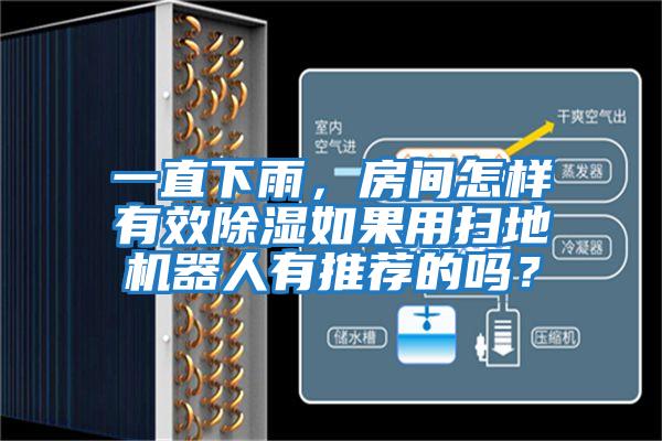 一直下雨，房間怎樣有效除濕如果用掃地機器人有推薦的嗎？