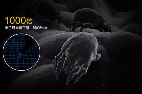 螨蟲高發(fā)季，家用除濕機除螨有妙計！_重復