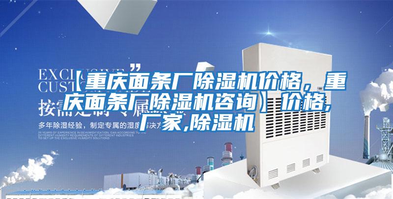 【重慶面條廠除濕機(jī)價格，重慶面條廠除濕機(jī)咨詢】價格,廠家,除濕機(jī)