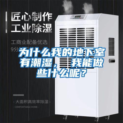 為什么我的地下室有潮濕， 我能做些什么呢？
