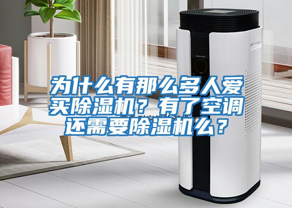 為什么有那么多人愛買除濕機？有了空調還需要除濕機么？