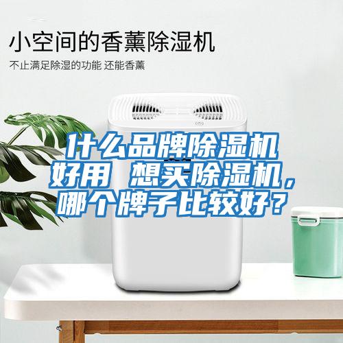 什么品牌除濕機(jī)好用 想買(mǎi)除濕機(jī),哪個(gè)牌子比較好?