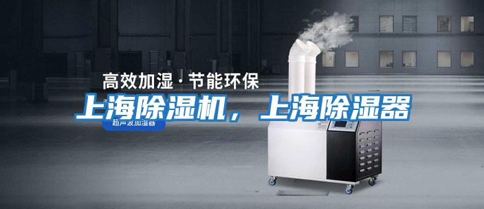 上海除濕機，上海除濕器