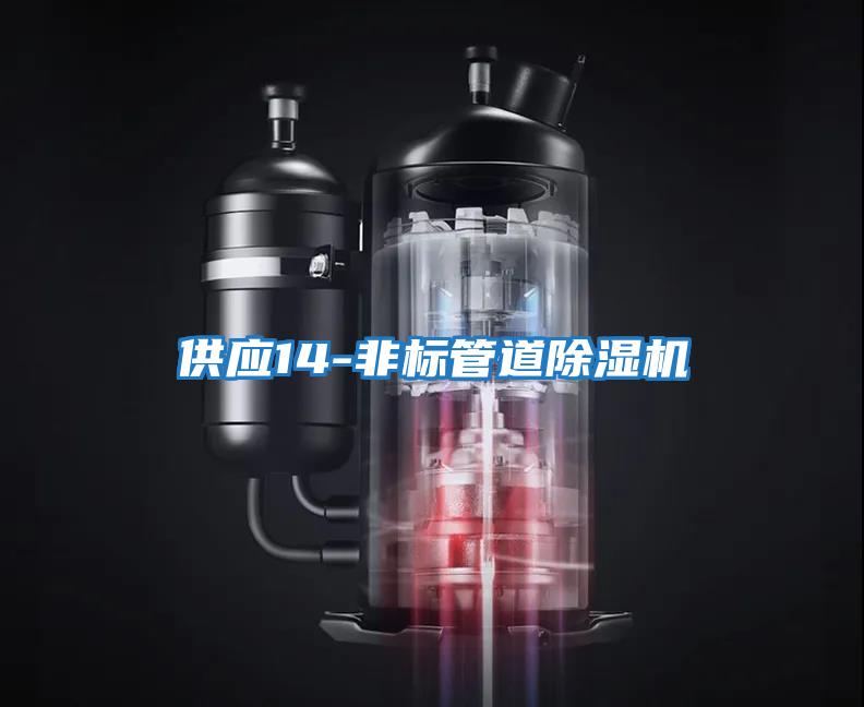 供應(yīng)14-非標管道除濕機