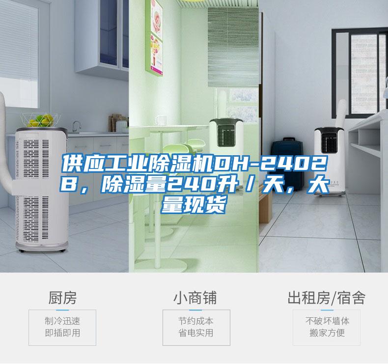 供應(yīng)工業(yè)除濕機DH-2402B，除濕量240升／天，大量現(xiàn)貨
