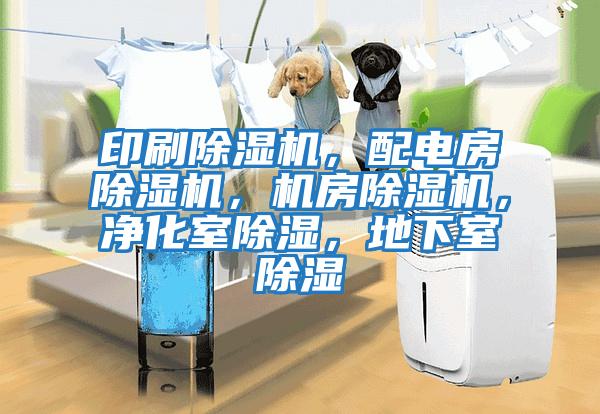 印刷除濕機，配電房除濕機，機房除濕機，凈化室除濕，地下室除濕
