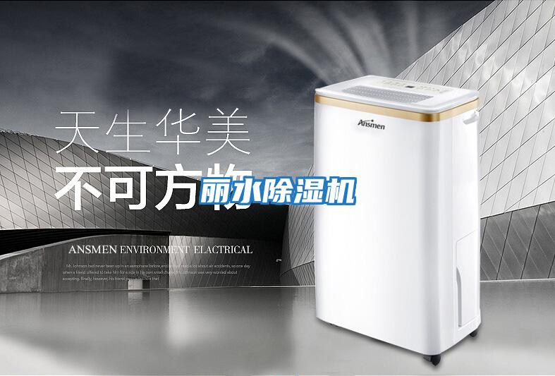 麗水除濕機
