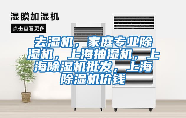 去濕機，家庭專業除濕機，上海抽濕機，上海除濕機批發，上海除濕機價錢