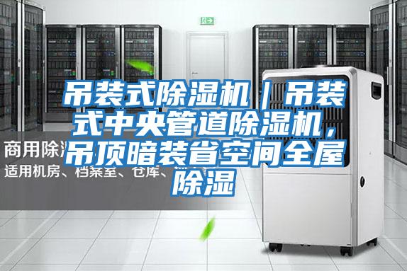 吊裝式除濕機｜吊裝式中央管道除濕機，吊頂暗裝省空間全屋除濕