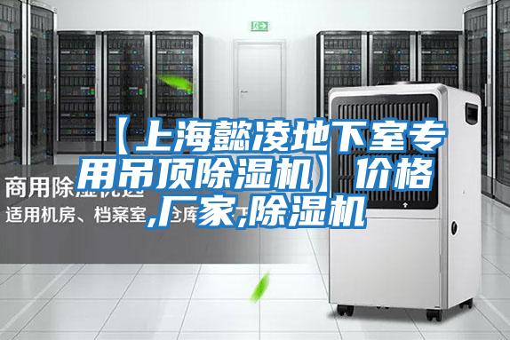 【上海懿凌地下室專用吊頂除濕機(jī)】價格,廠家,除濕機(jī)