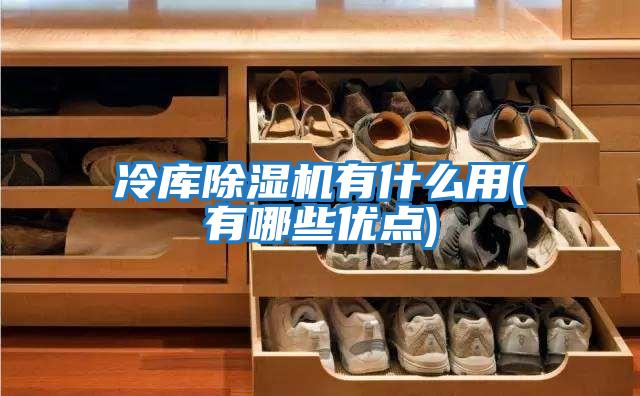 冷庫(kù)除濕機(jī)有什么用(有哪些優(yōu)點(diǎn))