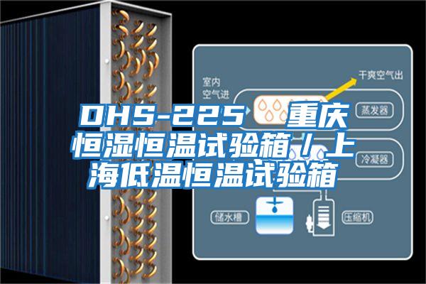 DHS-225 重慶恒濕恒溫試驗箱/上海低溫恒溫試驗箱