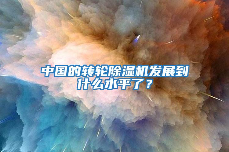 中國的轉輪除濕機發展到什么水平了？