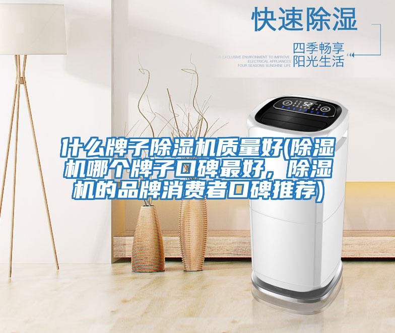 什么牌子除濕機質(zhì)量好(除濕機哪個牌子口碑最好,除濕機的品牌消費者口碑推薦)