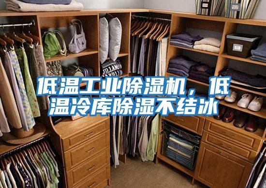 低溫工業(yè)除濕機(jī),低溫冷庫(kù)除濕不結(jié)冰