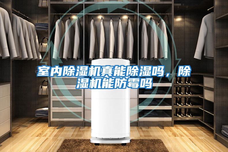 室內(nèi)除濕機(jī)真能除濕嗎，除濕機(jī)能防霉嗎
