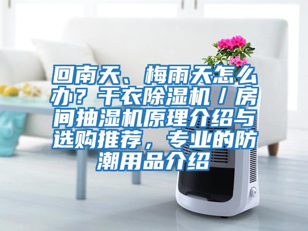 回南天、梅雨天怎么辦?干衣除濕機/房間抽濕機原理介紹與選購推薦,專業(yè)的防潮用品介紹