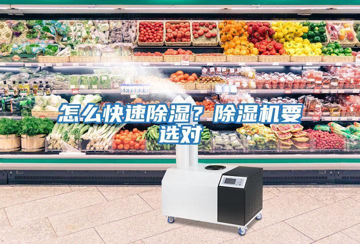 怎么快速除濕?除濕機(jī)要選對(duì)