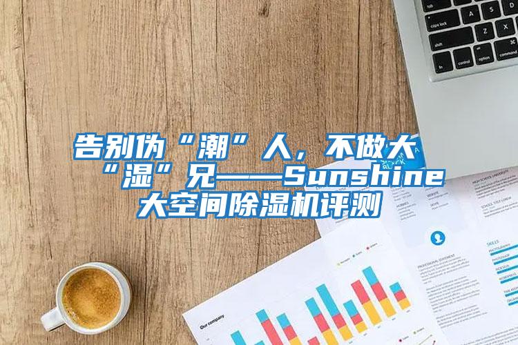 告別偽“潮”人，不做大“濕”兄——Sunshine大空間除濕機評測