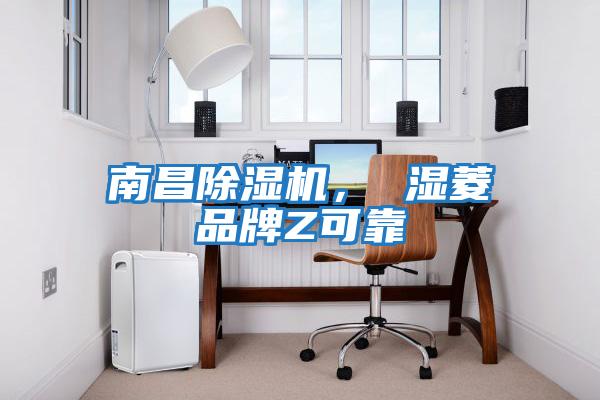 南昌除濕機， 濕菱品牌Z可靠