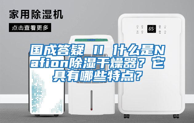 國成答疑 II 什么是Nafion除濕干燥器？它具有哪些特點？