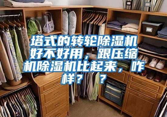 塔式的轉(zhuǎn)輪除濕機(jī)好不好用，跟壓縮機(jī)除濕機(jī)比起來，咋樣？ ？