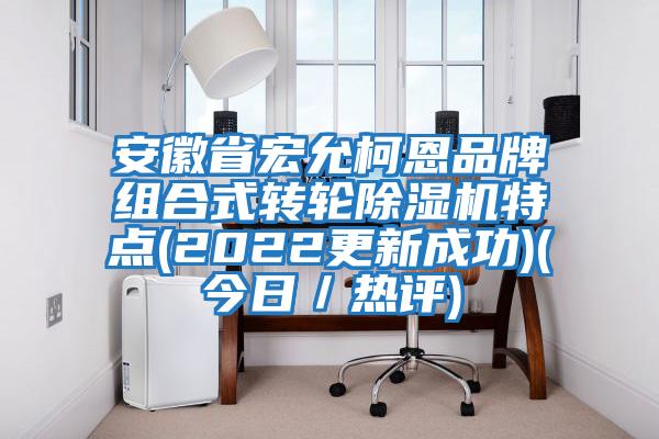 安徽省宏允柯恩品牌組合式轉輪除濕機特點(2022更新成功)(今日/熱評)