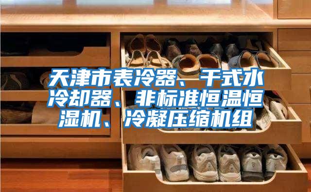 天津市表冷器、干式水冷卻器、非標準恒溫恒濕機、冷凝壓縮機組