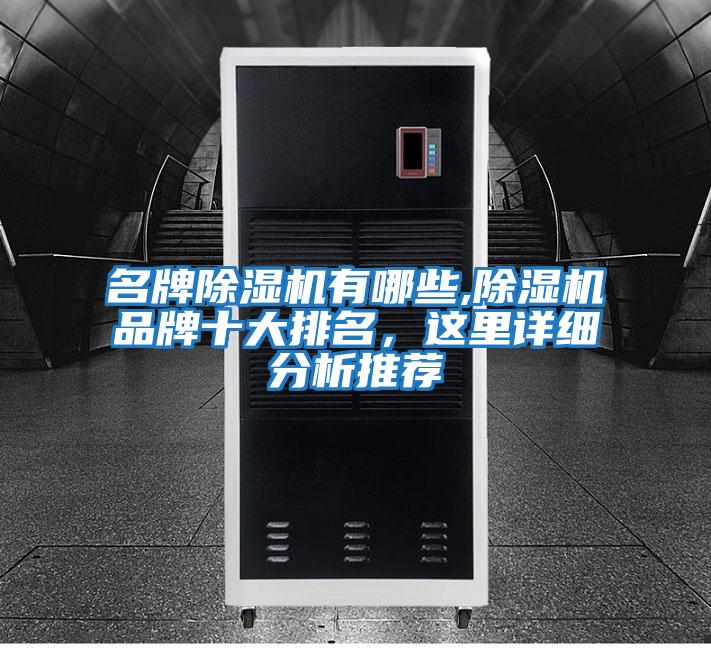 名牌除濕機有哪些,除濕機品牌十大排名，這里詳細分析推薦