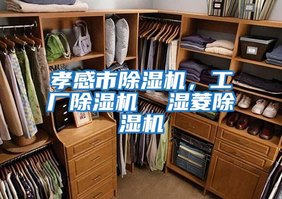 孝感市除濕機(jī)，工廠除濕機(jī)  濕菱除濕機(jī)