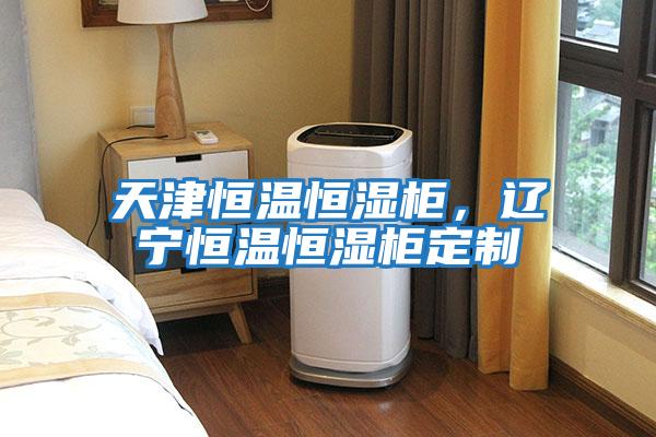 天津恒溫恒濕柜，遼寧恒溫恒濕柜定制