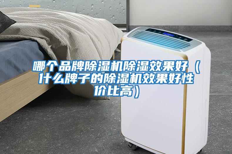 哪個品牌除濕機除濕效果好(什么牌子的除濕機效果好性價比高)