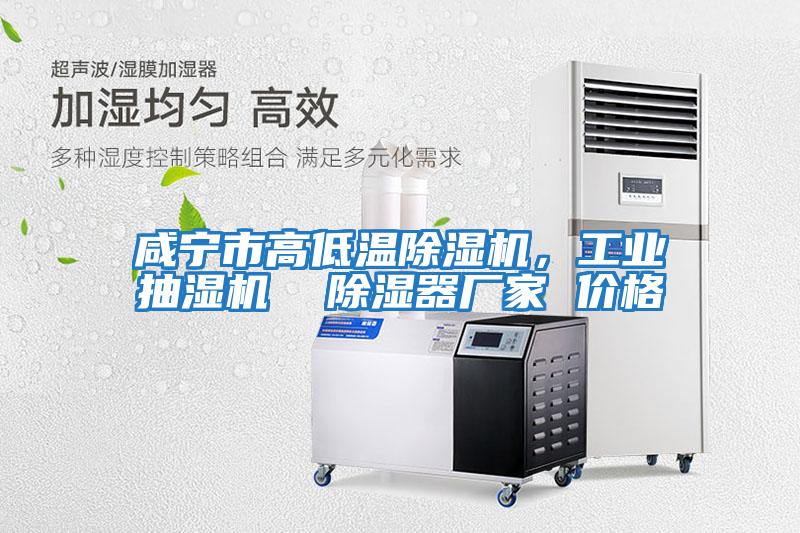 咸寧市高低溫除濕機，工業抽濕機  除濕器廠家 價格