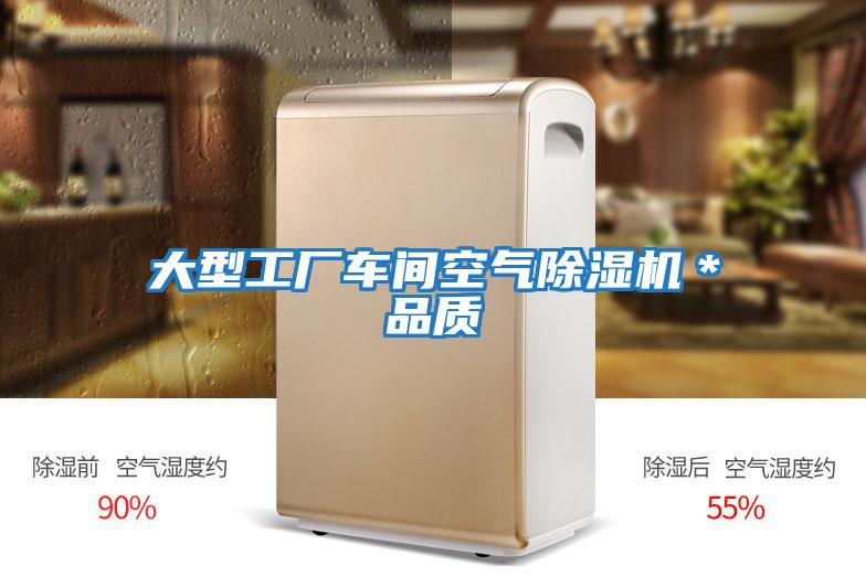 大型工廠車間空氣除濕機(jī)*品質(zhì)