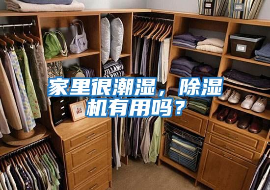 家里很潮濕，除濕機有用嗎？