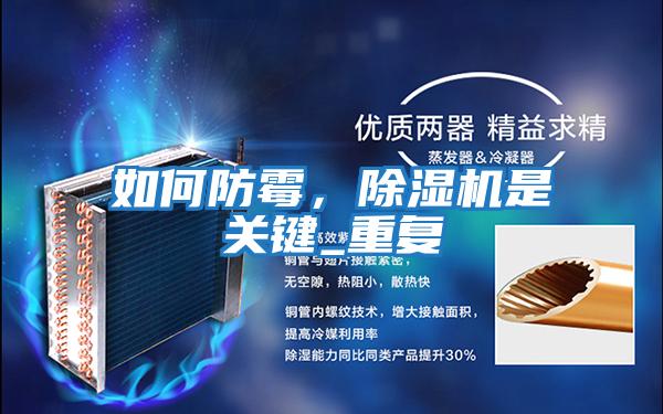 如何防霉，除濕機是關鍵_重復