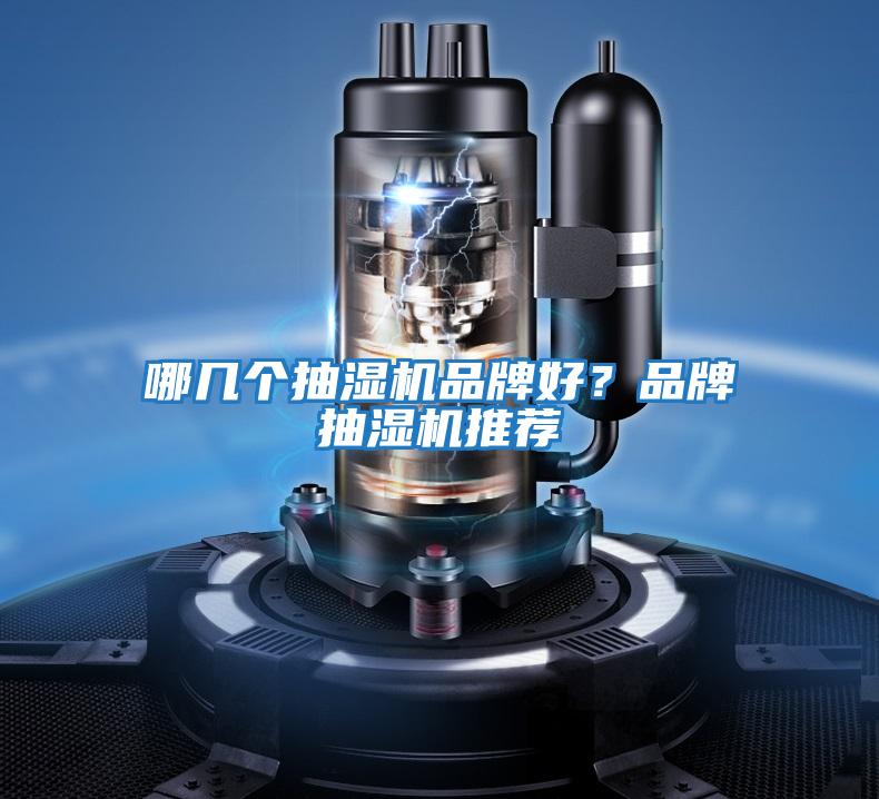 哪幾個抽濕機品牌好?品牌抽濕機推薦