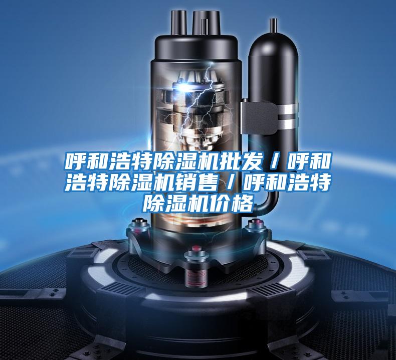 呼和浩特除濕機批發(fā)/呼和浩特除濕機銷售/呼和浩特除濕機價格