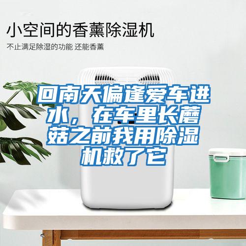 回南天偏逢愛車進水，在車里長蘑菇之前我用除濕機救了它