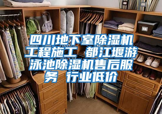 四川地下室除濕機(jī)工程施工 都江堰游泳池除濕機(jī)售后服務(wù) 行業(yè)低價