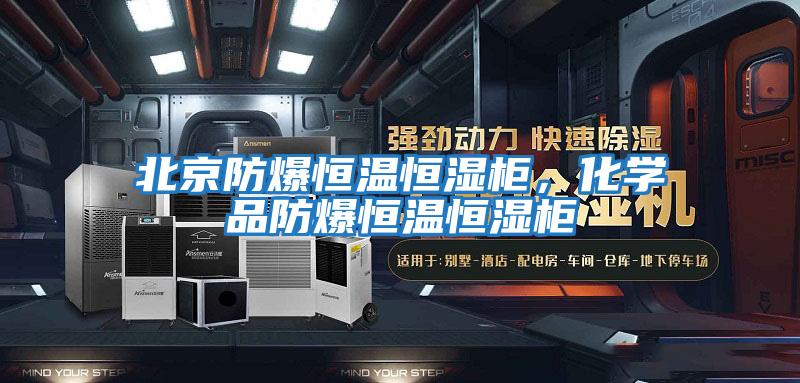 北京防爆恒溫恒濕柜，化學品防爆恒溫恒濕柜