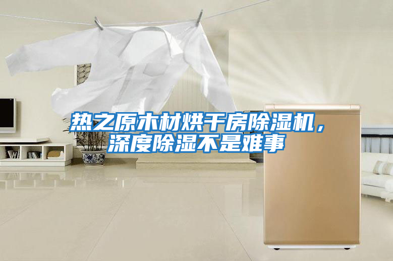 熱之原木材烘干房除濕機,深度除濕不是難事