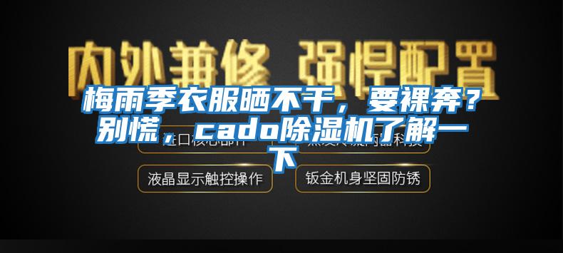 梅雨季衣服曬不干，要裸奔？別慌，cado除濕機了解一下