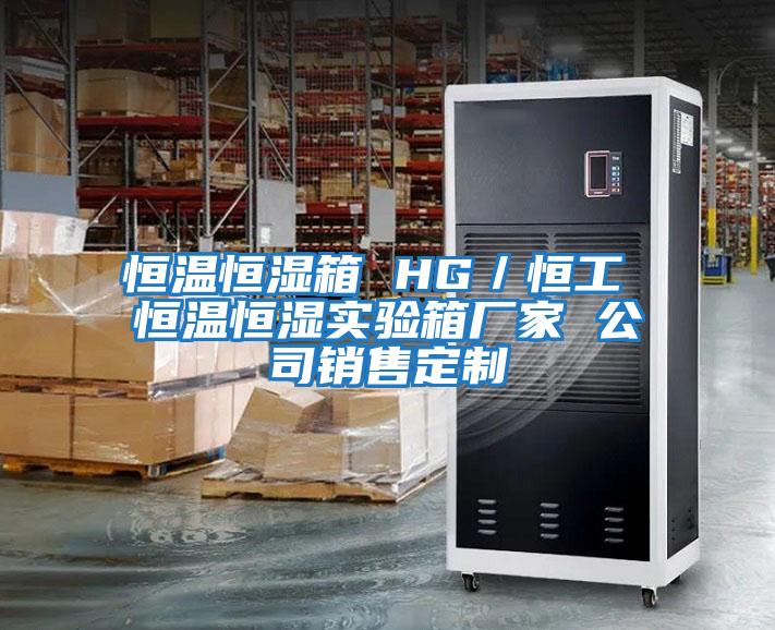 恒溫恒濕箱 HG/恒工 恒溫恒濕實驗箱廠家 公司銷售定制