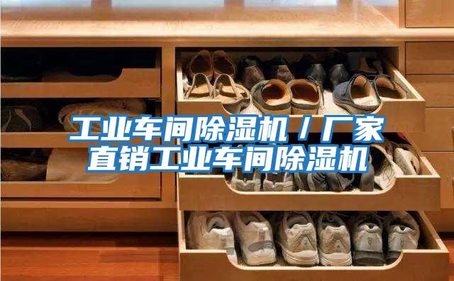 工業(yè)車(chē)間除濕機(jī)/廠家直銷(xiāo)工業(yè)車(chē)間除濕機(jī)