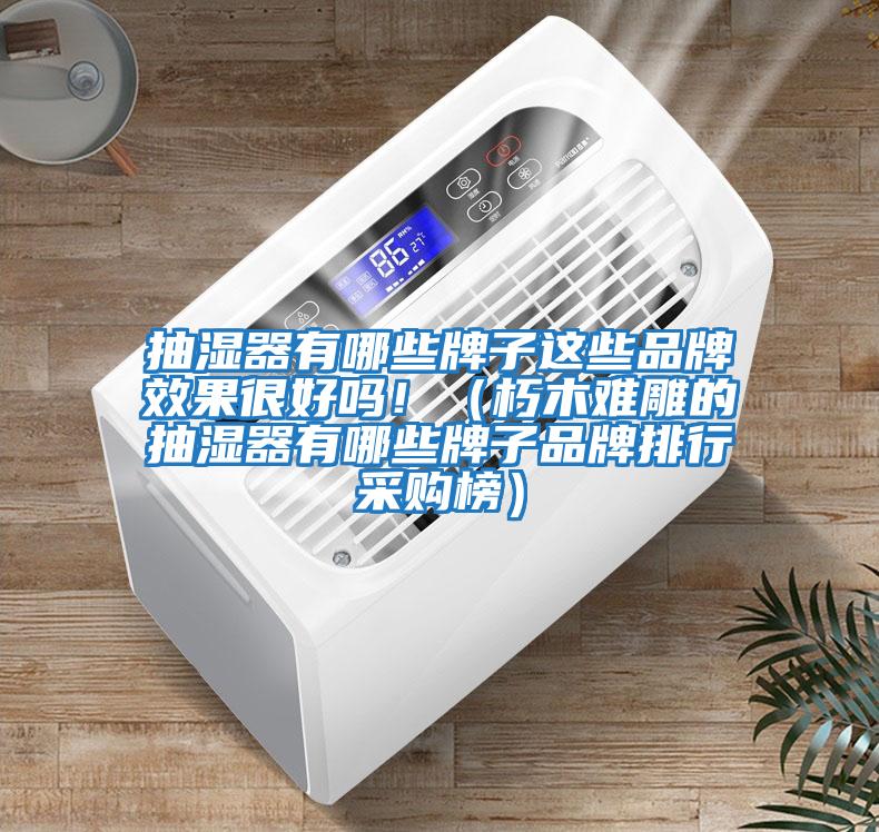 抽濕器有哪些牌子這些品牌效果很好嗎?。ㄐ嗄倦y雕的抽濕器有哪些牌子品牌排行采購(gòu)榜）